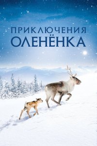  Приключения оленёнка 